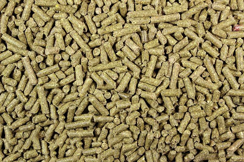 Guinea Pig Pellets