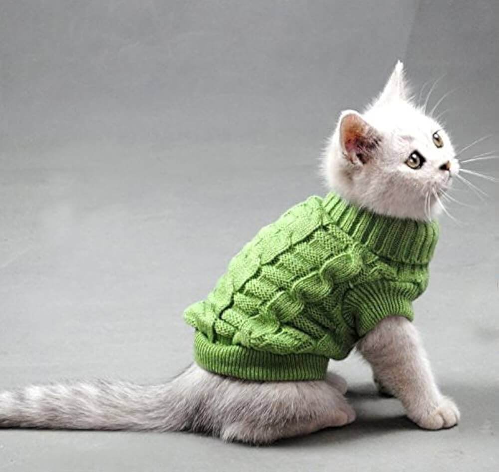 Cat Sweater