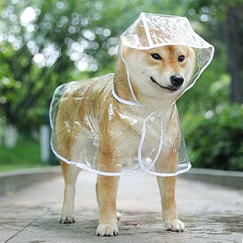 Dog Raincoat