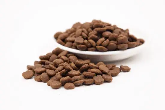 Grain-Free Cat Food