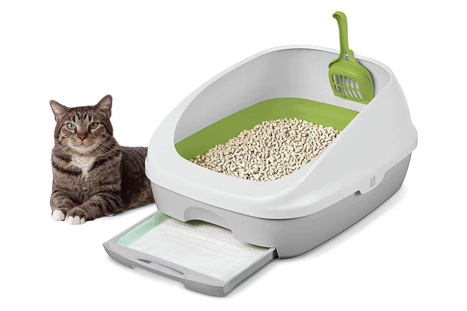 Litter Boxes