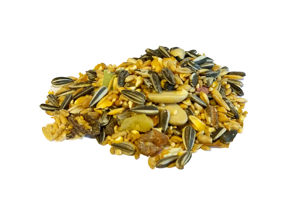 Seed Mix for Parrots