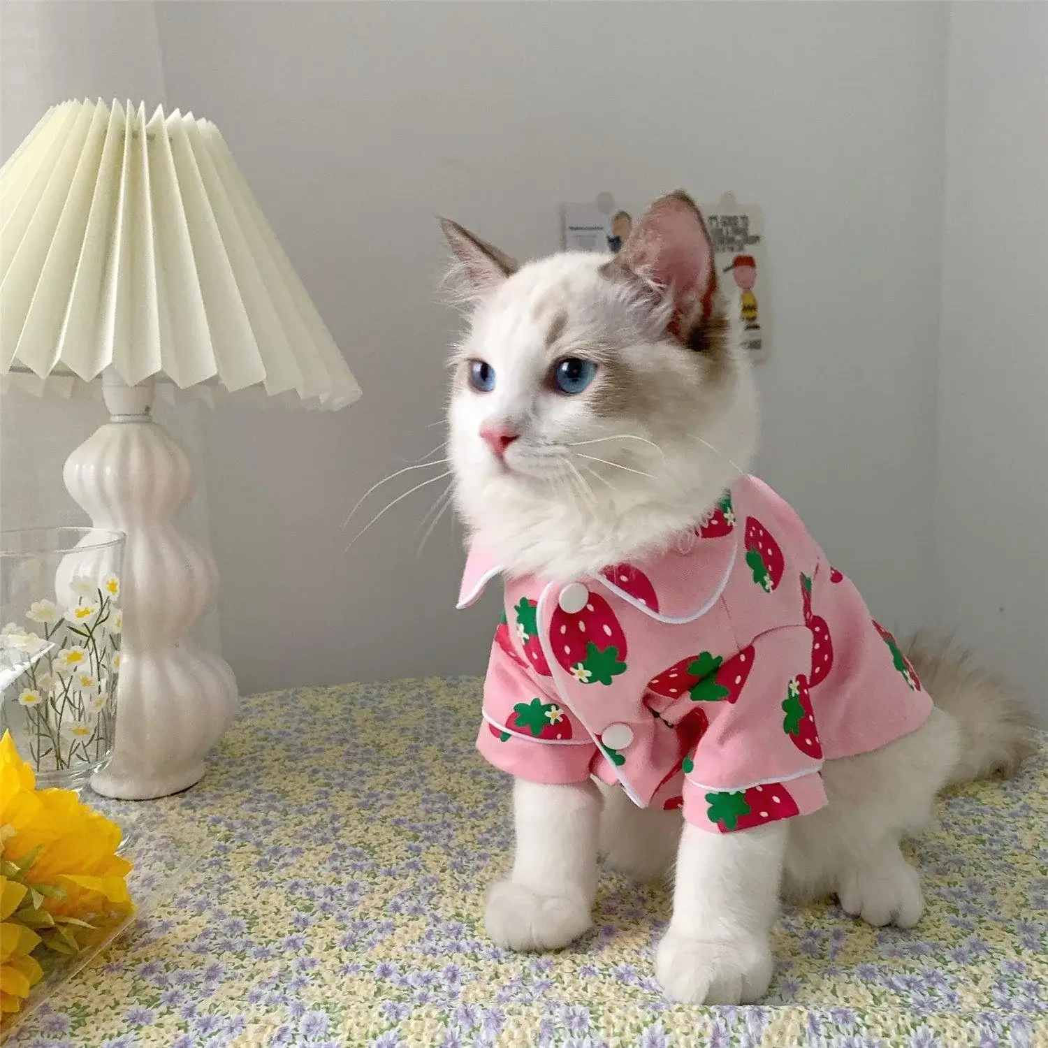 Cat Pajamas