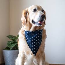 Dog Bandana